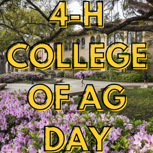 4-H College of Agriculture Day